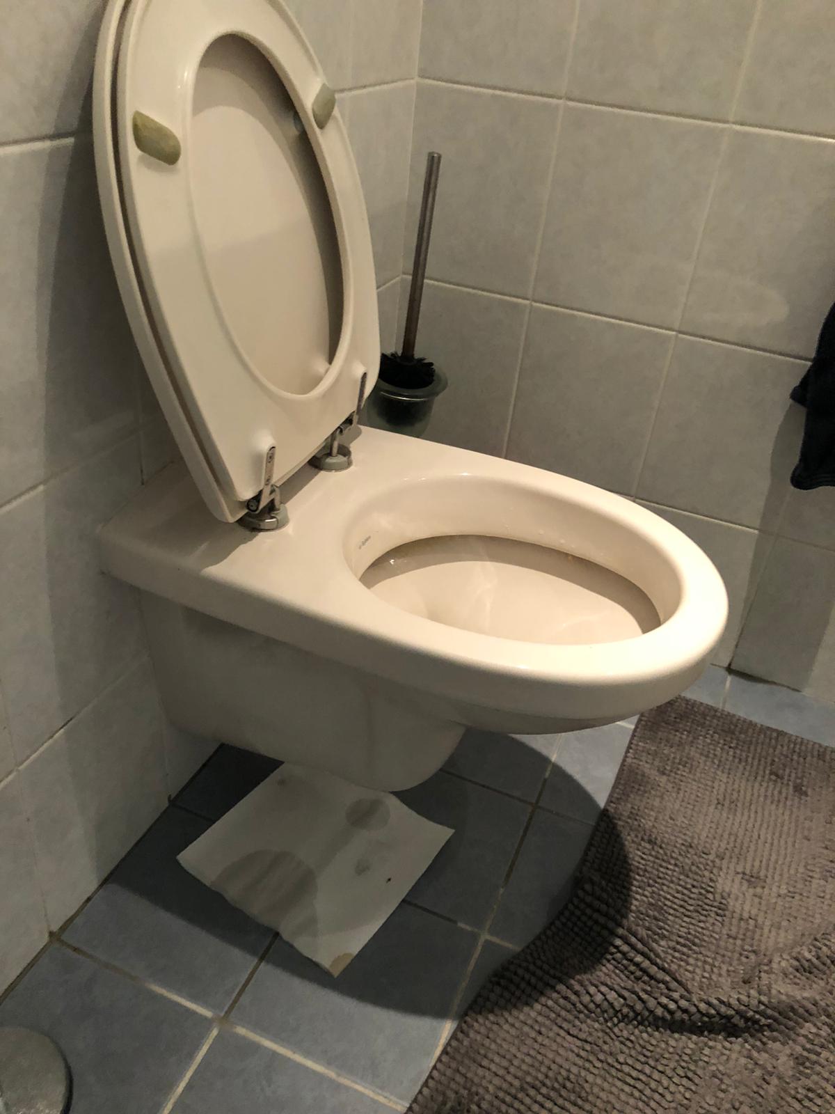 hangtoilet Blaricum